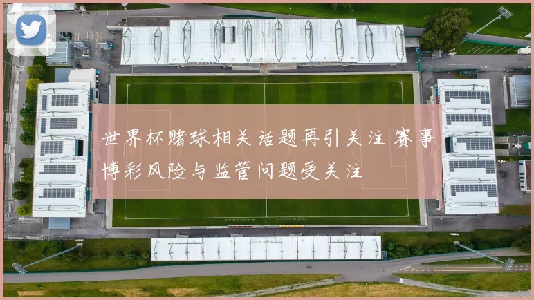 世界杯赌球相关话题再引关注 赛事博彩风险与监管问题受关注