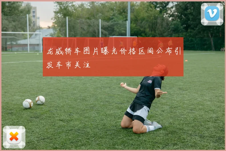 龙威轿车图片曝光价格区间公布引发车市关注