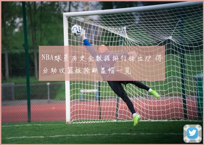 NBA球员历史全数据排行榜出炉 得分助攻篮板抢断盖帽一览
