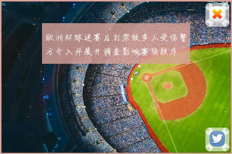 欧洲杯球迷赛后打架致多人受伤警方介入并展开调查影响赛场秩序