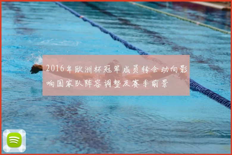 2016年欧洲杯冠军成员转会动向影响国家队阵容调整及赛季前景