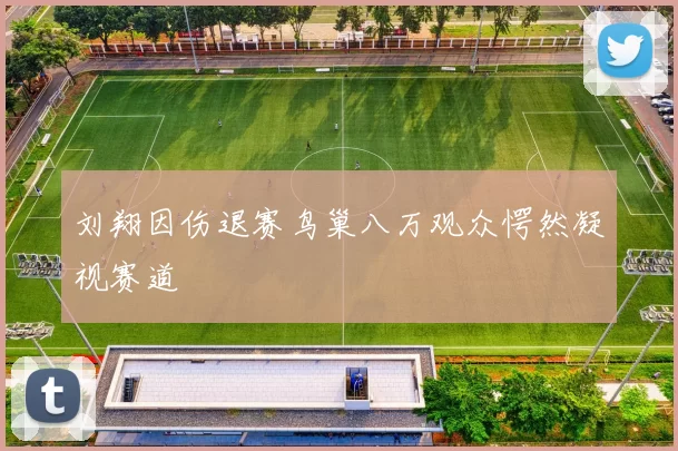 刘翔因伤退赛鸟巢八万观众愕然凝视赛道