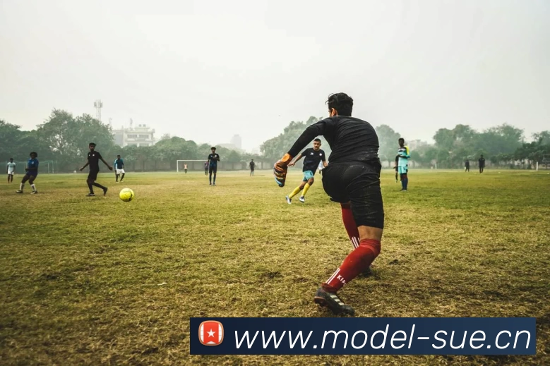 多媒体互动体验